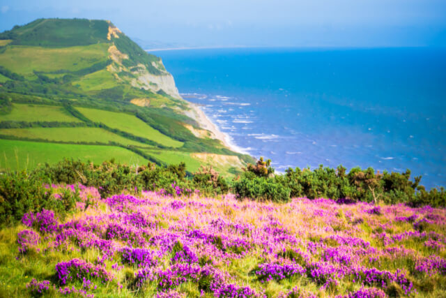 7 Enchanting National Trust Gems Near Lyme Regis Lyme Bay Holidays