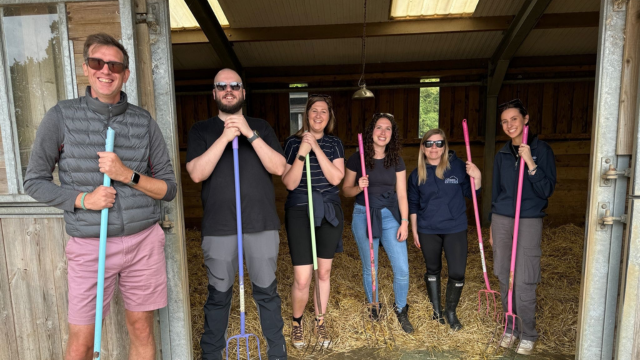 The Lyme Bay Holidays team participating in a volunteering day at the Donkey Sanctuary in Sidmouth 